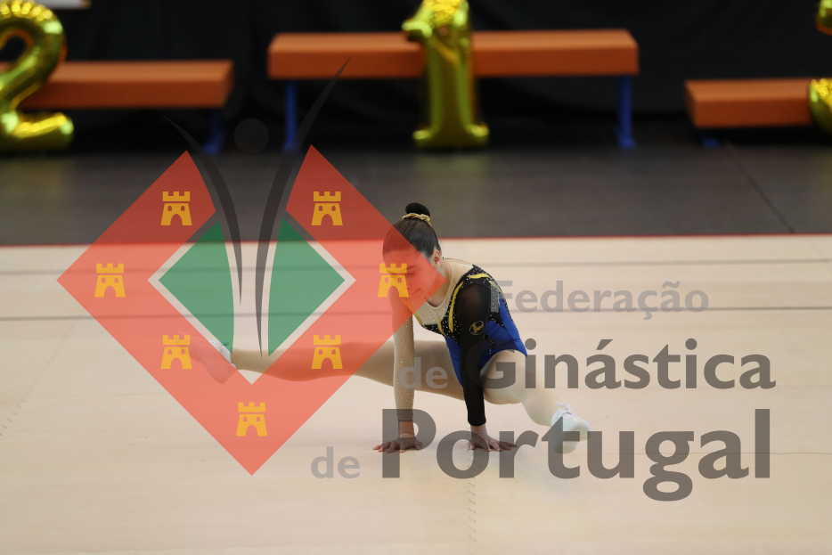 1042_Taça de Portugal AER